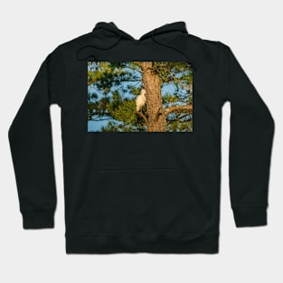 Wader Egret Hoodie